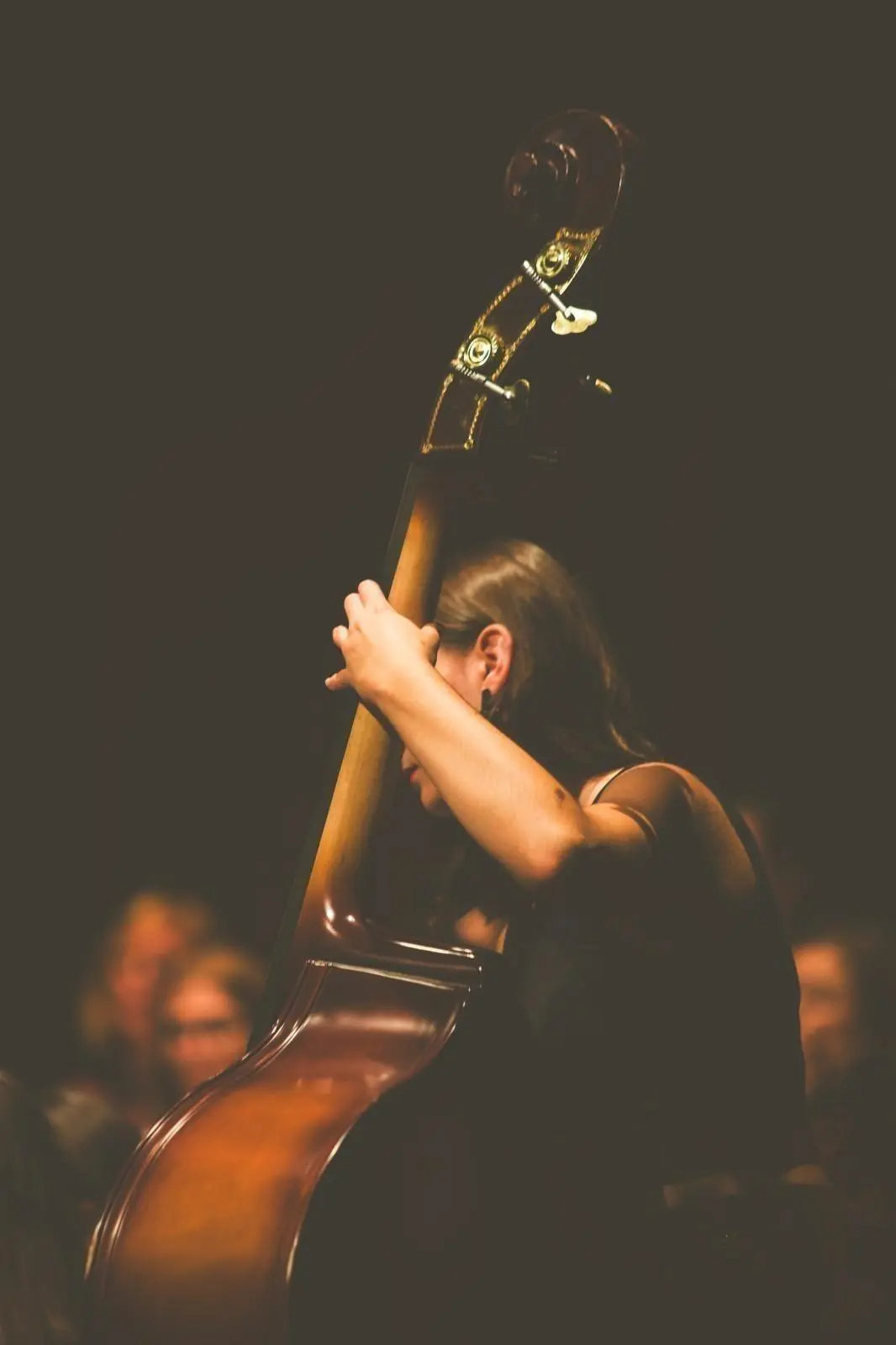 Banner image 2/2